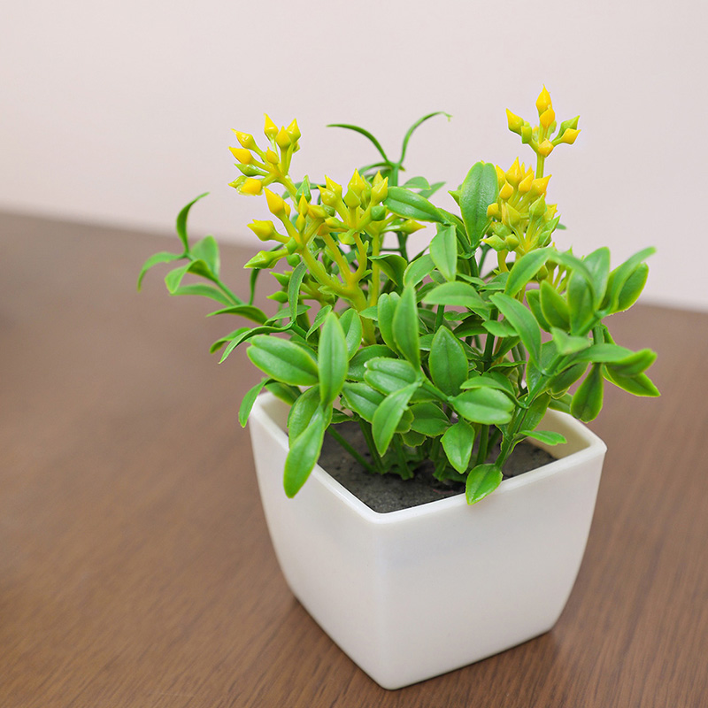 造花の小さな鉢植えは、家の装飾、オフィス、窓辺や本棚の装飾に - Baby Bookshelf Small のレビューと価格
